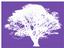 OMNI Optimal Healing Services